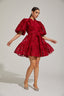 Ysabella - Blossom Mini Dress